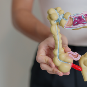 Darmen invloed vetverbranding